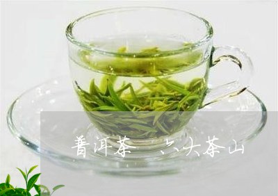 普洱茶 六大茶山/2023041317372